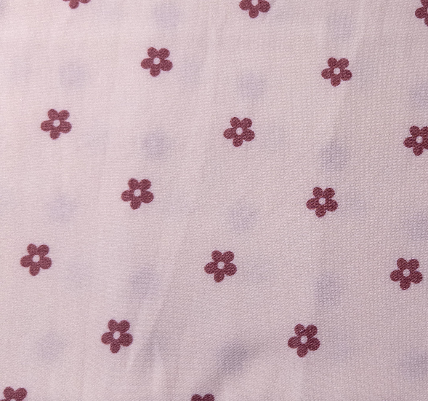 Cream & Mauve Daisies - Piggies